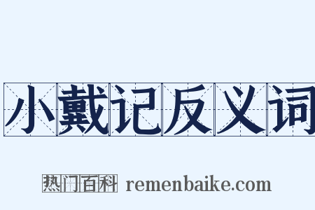 小戴记反义词是什么意思的图片
